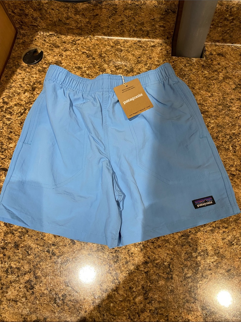 Patagonia Youth Light Blue lined  Shorts